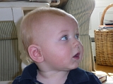 William's Thirty-Eigth Week 12